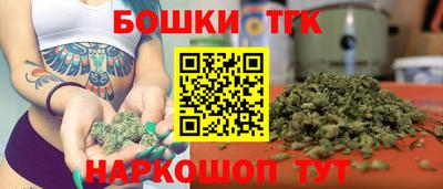 СК Шахты