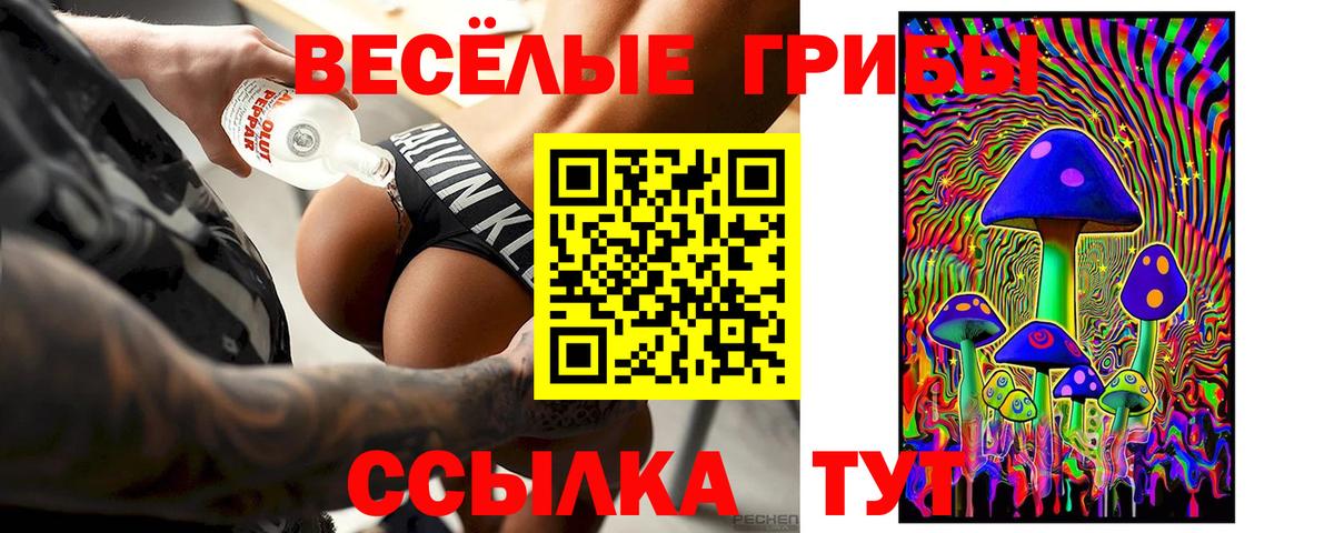 Галлюциногенные грибы GOLDEN TEACHER Белая Калитва